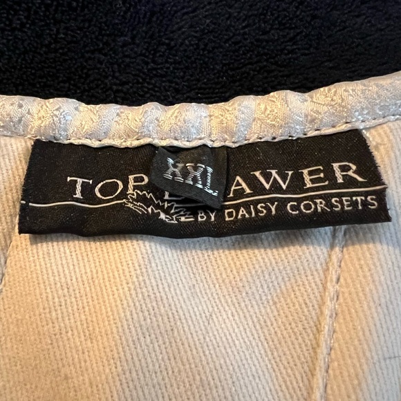 Top Drawer by Daisy Corset - Picture 3 of 6